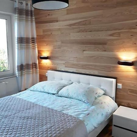 Apartament Szary Wilk Swieradow-Zdroj Exterior foto