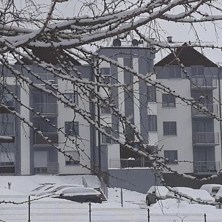 Apartament Szary Wilk Swieradow-Zdroj Exterior foto