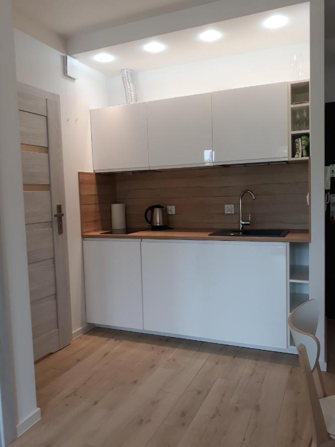 Apartament Szary Wilk Swieradow-Zdroj Exterior foto