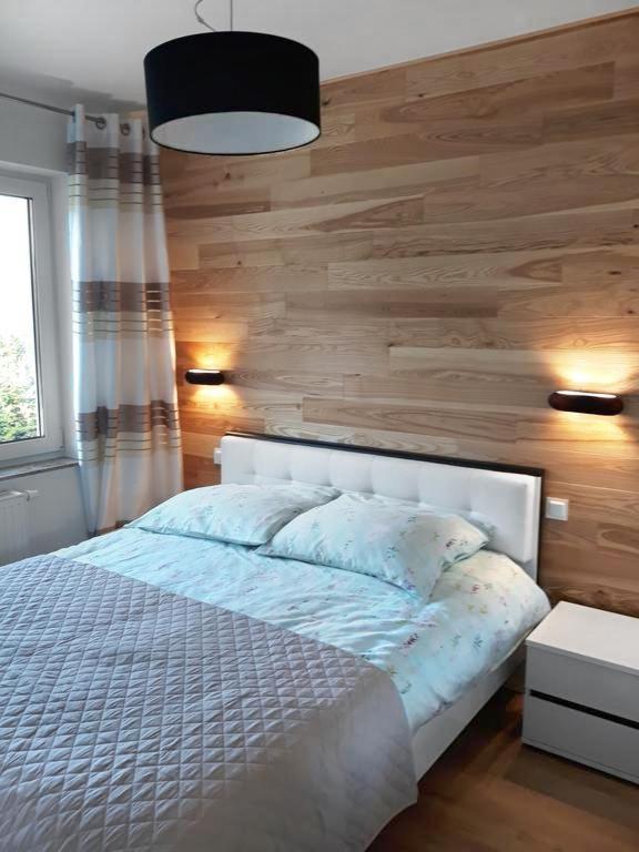 Apartament Szary Wilk Swieradow-Zdroj Exterior foto