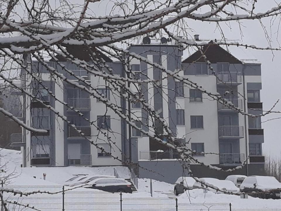 Apartament Szary Wilk Swieradow-Zdroj Exterior foto